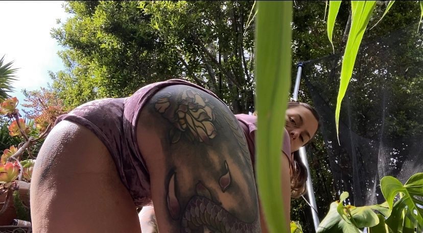 knottypeachdragon OnlyFans